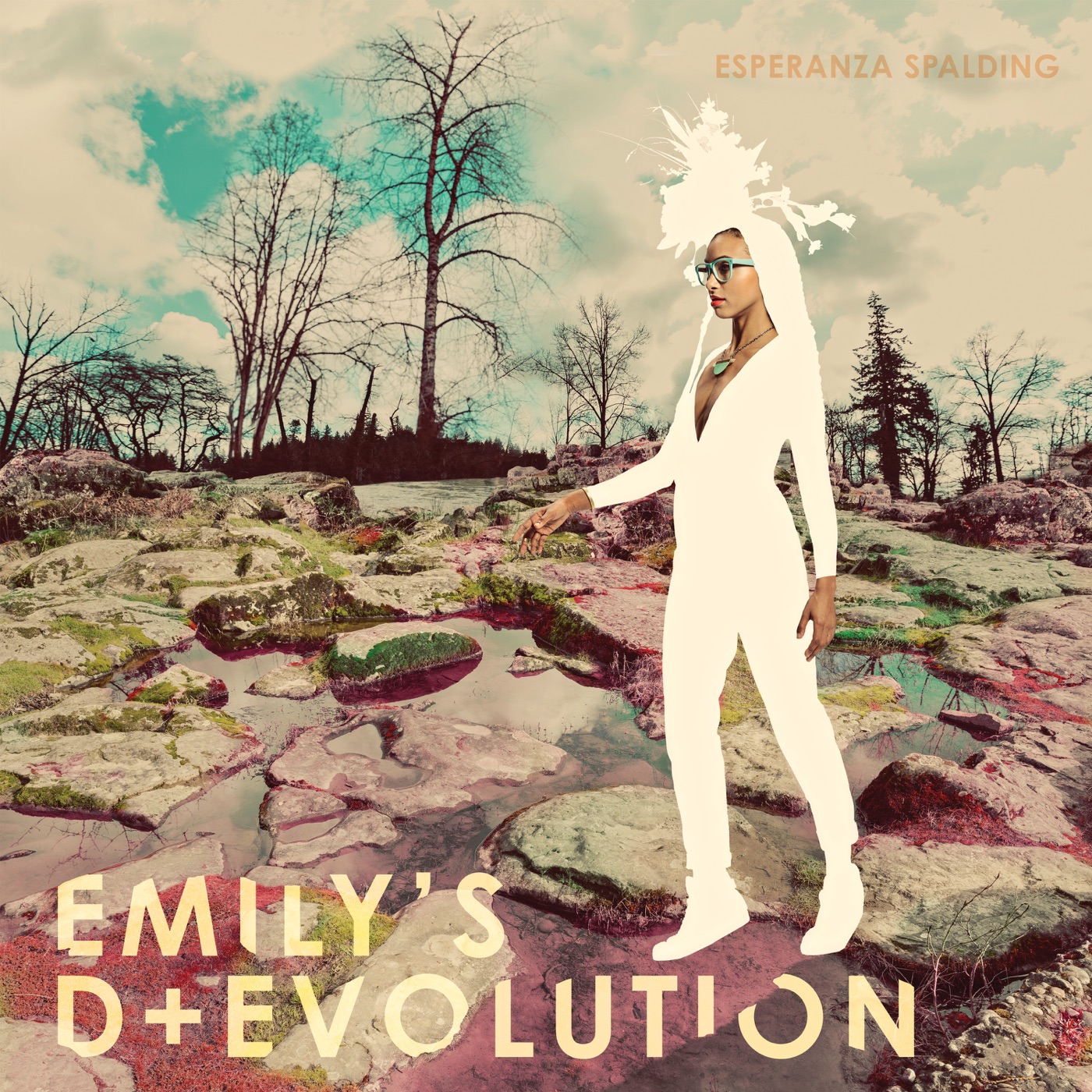 Emily%27s%20D%2BEvolution