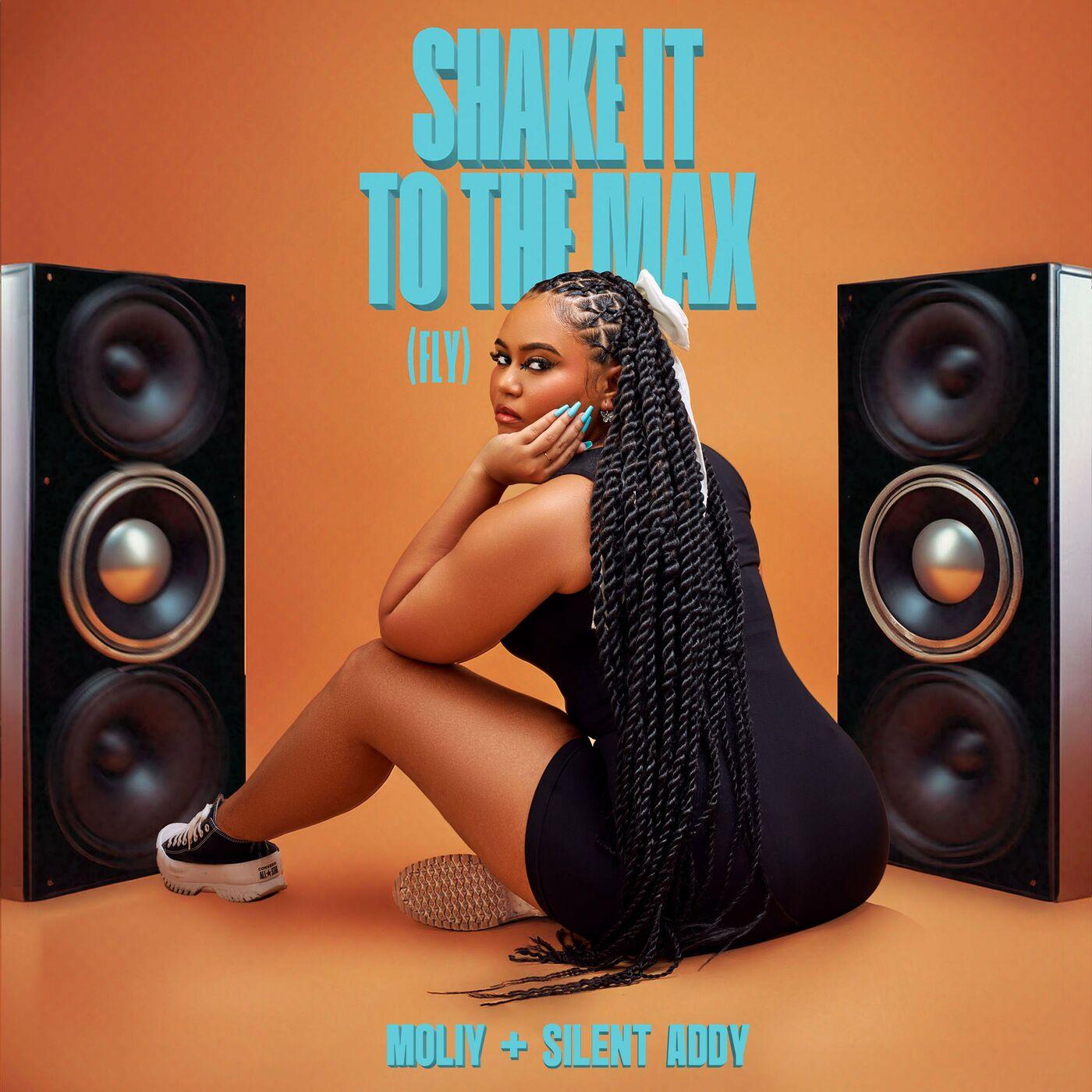 Shake%20It%20To%20The%20Max%20%28FLY%29