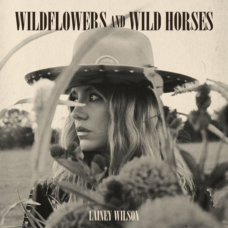 Wildflowers%20And%20Wild%20Horses%20%28Single%20Version%29