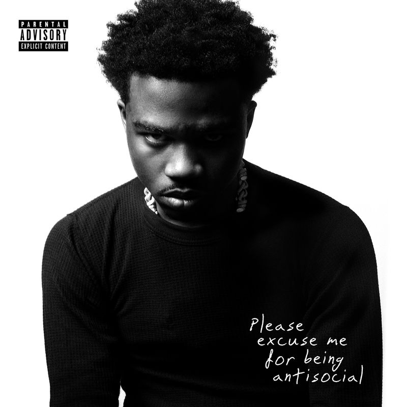 Please%20Excuse%20Me%20For%20Being%20Antisocial