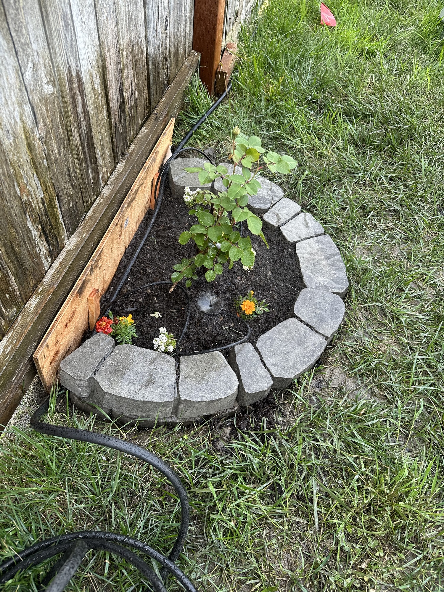 New Flower Garden Plots